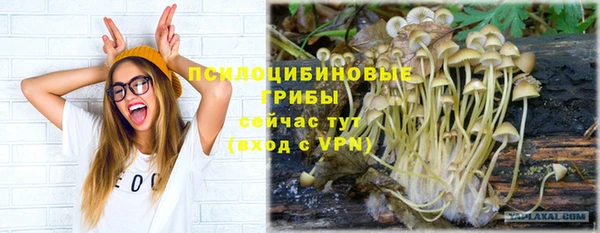 a pvp Армянск