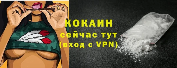 стафф Аркадак