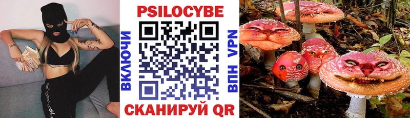 Купить где  Новозыбков  Галлюциногенные грибы Psilocybine cubensis 