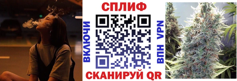 Купить закладки  Новозыбков  Марихуана ГИДРОПОН 